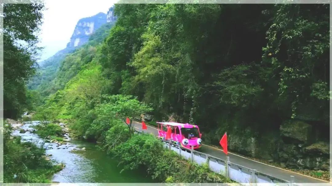 赢多多观光车“金鱼宝宝”，为三峡大瀑布打赢“景区升级战”！