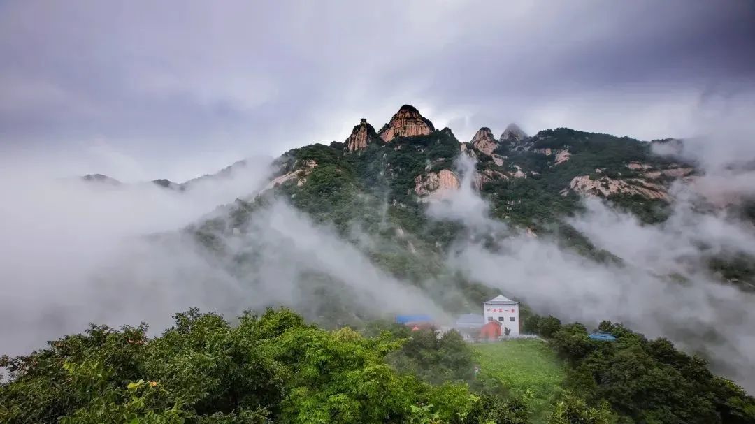 五大热门景区真实运营揭秘，看看客户为何选择赢多多观光车？