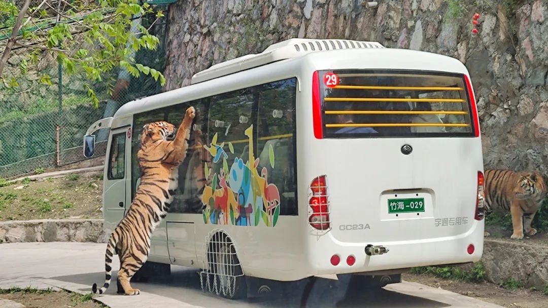 2024年“五一”假期旅游数据出炉，旅游市场呈现新趋势！